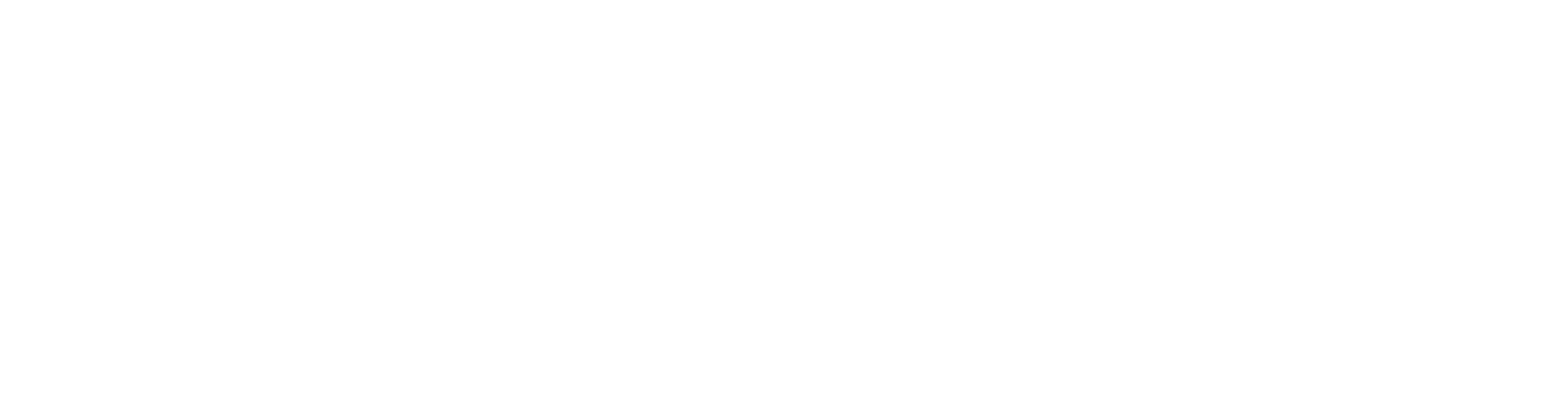 flexi